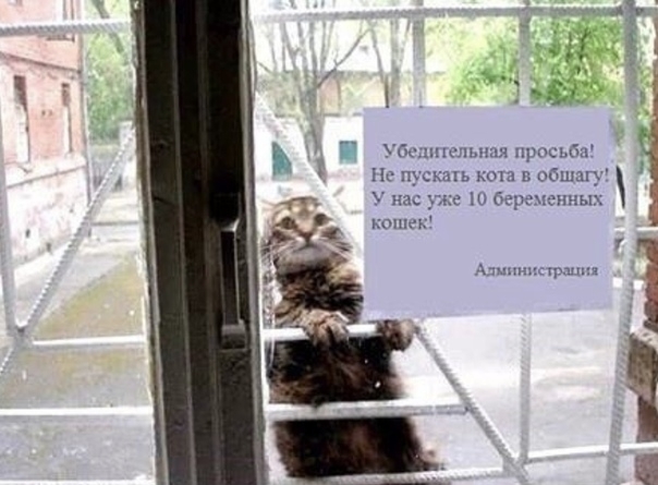 бсщш цпмпя так На щек к г тшдгу _ с 1 бэрепснпь МЧПК кт