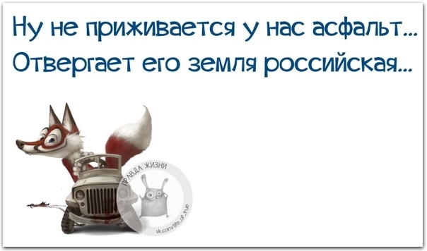 Ну не приживается у нас асфальт Отвергает его земля российская _жизн и Ам и