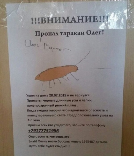 ВНИМАНИЕ Процык таракан Омег