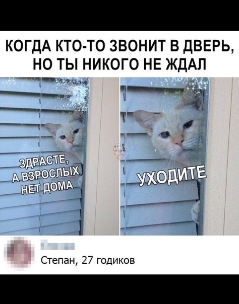 КОГДА КТО ТО ЗВОНИТ В ДВЕРЬ НО ТЫ НИКОГО НЕ ЖДА ___ Ёі Ё 313 Ъ Е Ё Степан 27 годиков