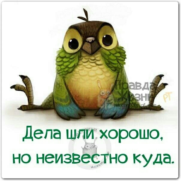 дела шитхорошо но неизвёётно куда