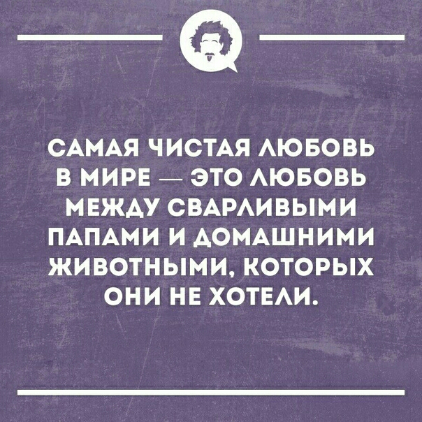 ___ САМАЯ ЧИСТАЯ АЮБОВЬ В МИРЕ ЭТО АЮБОВЬ НЕЖАУ СВАРАИВЫМИ ПАПАМИ И АОМАШНИМИ ЖИВОТНЫМИ КОТОРЫХ ОНИ НЕ ХОТЕАИ