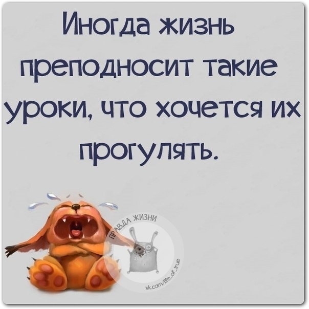 Иногда жизнь преподносит такие уроки что хочется их прогулять
