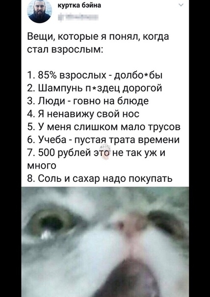 і куртка Байка Вещи которые я понял когда стал взрослым Ъ 85 взрослых допбтбы 2 Шампунь п3дец дорогой 3 Люди говно на блюде 4 Я ненавижу свой нос У меня слишком мало трусов 6 Учеба пустая трата времени 7 500 рублей это не так уж и много 8 Соль и сахар надо покупать УТ