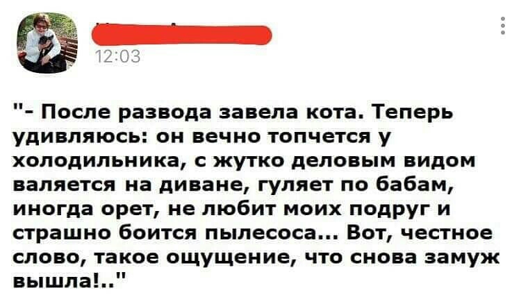 После развода завела кота Теперь удивляюсь он вечно топчется у холодильника с жутко деловым видом валяется на диване гуляет по бабам иногда орет не любит моих подруг и страшно боится пылесоса Вот честное слово такое ощущение что снова замуж вышла