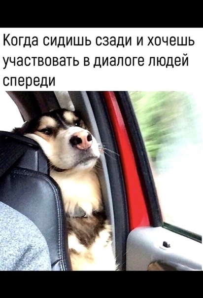 Когда СИДИШЬ сзади И ХОЧЕШЬ УЧЭСТВОВЗТЬ В диалоге ЛЮДЕЙ СПЕРЕДИ