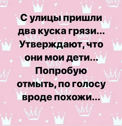 С улицы пришли два куска грязи Утверждают что они мои дети Попробую отмыть по голосу вроде похожи