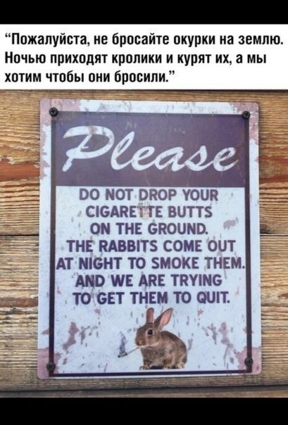 Пожалуйста не Бросайте окурки на землю Ночью приходят кролики и курят их а мы хотим чтпбы вии бросили ВО МОТ ШЮР УОЦП СЮАКЕТТЕ ВОТТБ ОМ ТНЕ ОВОЩИ ТНЕ МВВПБ СОМЕ ОПТ АТ МЮНТ ТО 5МОКЕ ТНЕМ Ю Е АКБ ТПУЩО ТО БЕТ ТНЕИ Т ОШТ