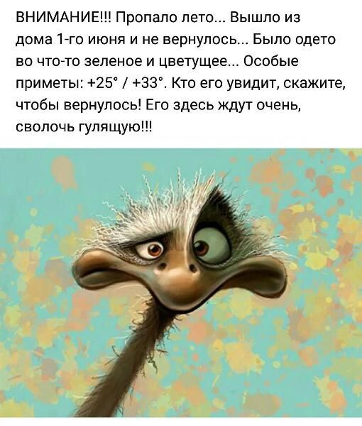 ВНИМАНИЕ Пропало лето Вышло из дома 17го июня и не вернулось Было одето во чтото зеленое и цветущее Особые приметы 25 ЗЗ Кто его увидит скажите чтобы вернулось Его здесь ждут очень сволочь гулящую