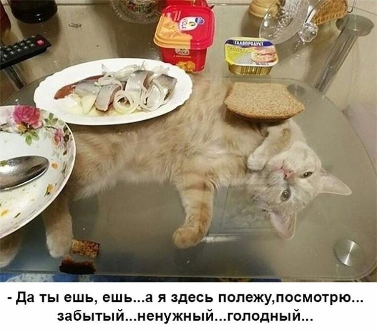 да ты ешь ешьа я здесь полежупосмотрю забытыйненужныйголодный