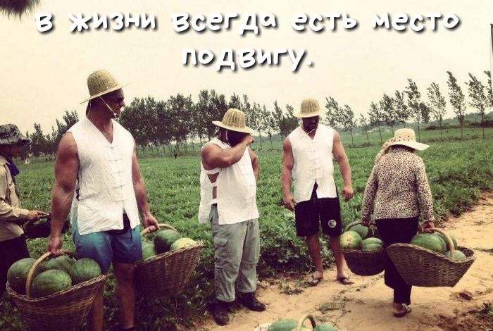 3 душ зсггдд есть 13519 эдзигу