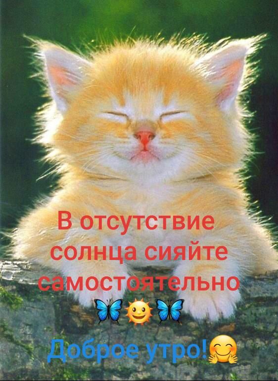 ЁВЬТЭУТСТВИЁ СОШЦЭ СИЯ ШЭ щ