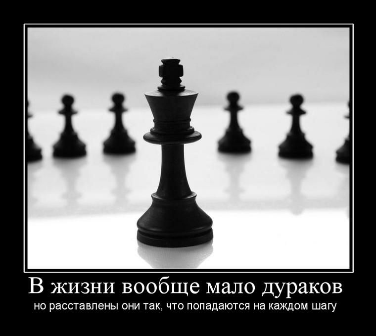 зі В жизни вообще мало дураков НО расставлены ОНИ ТВК ЧТО попадаются на каждом шагу