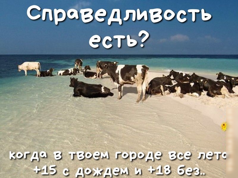 Опрыз д шизэзгэ кагда 3 тзэам Гуру43 353 лаг 13 ЦЭЖАЭИ 31 13 531