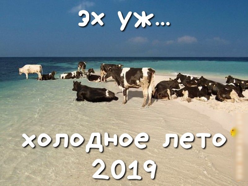 39Л9ддэЭ л ЭТ 20151