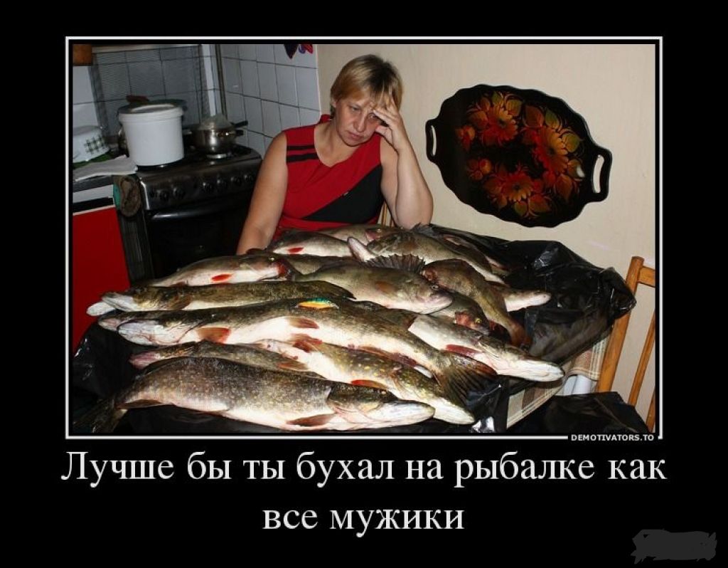 Лучше бы ты бухал на рыбашсе как все мужики