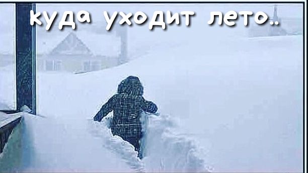 уды уэдзгг лети
