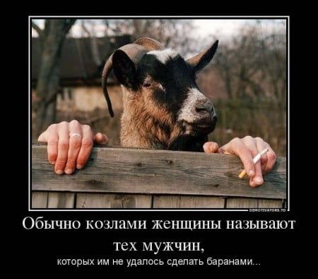 Обычно козлами женщины называют тех мужчин хитрых им не удалось сдапапь Бараніми