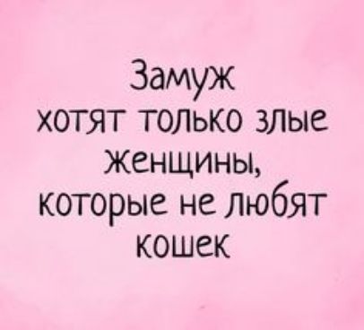 Замуж хотят ТОЛЬКО ЗЛые женщины которые не любят кошек