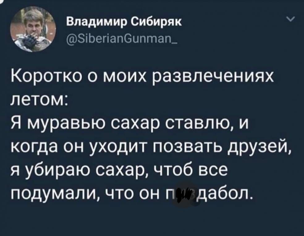 Владимир Сибиряк 8іЬегіапОиптап_ Коротко о моих развлечениях летом Я муравью сахар ставлю и когда он уходит позвать друзей я убираю сахар чтоб все подумали что он п дабол