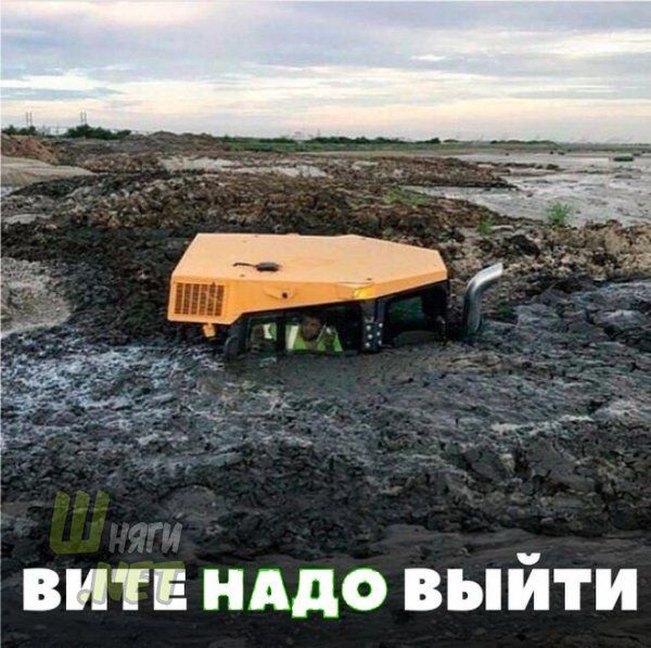 витв нддо выйти