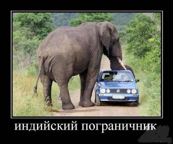 индийский пограничник