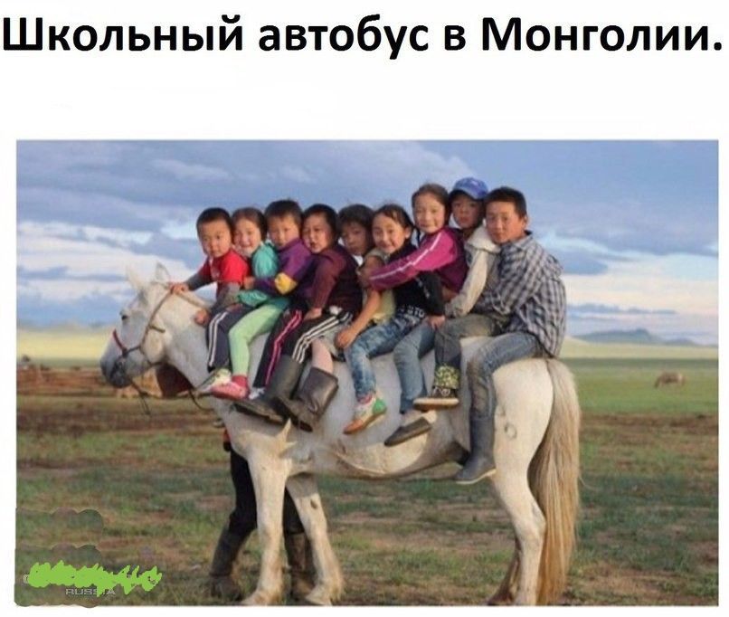Школьный автобус в Монголии