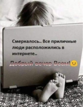 меринос Все приличные люди шпионили пд Н эм