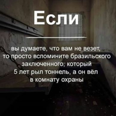Если вы думаете что вам не везет то просто вспомините бразильского заключенного который 5 лет рыл тоннель а он вёл в комнату охраны
