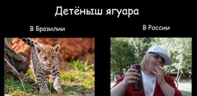 Детёньтш ягуара В Бразилии В России
