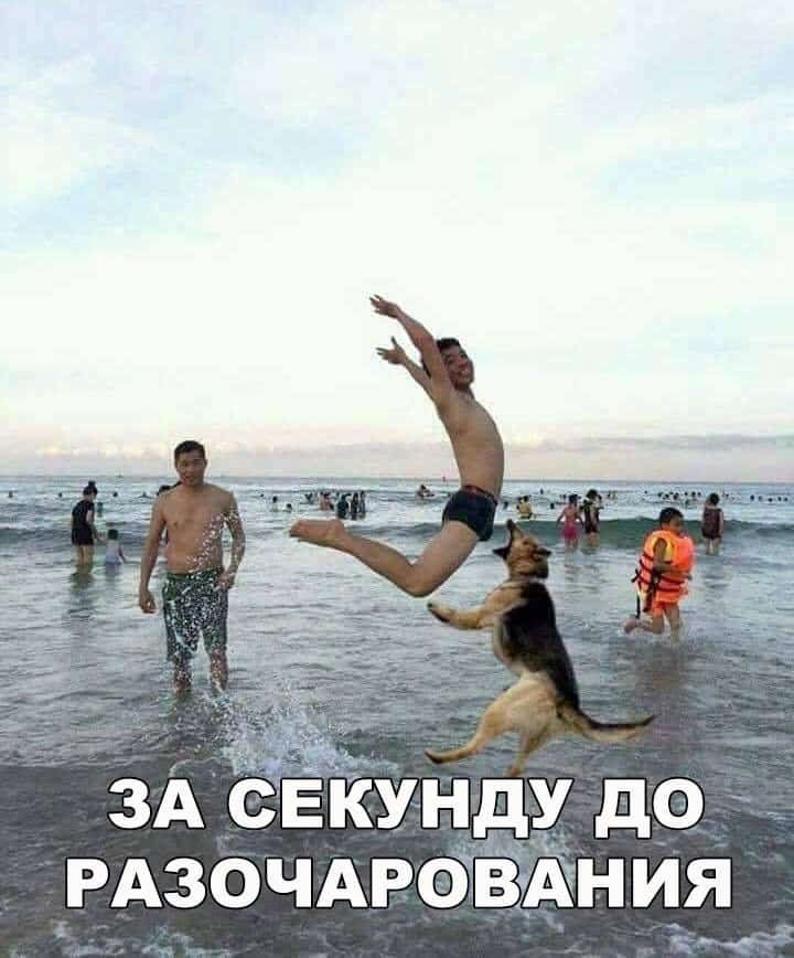 ЗА СЕКУНДУ до РАЗОЧАРЭВДНИЯ