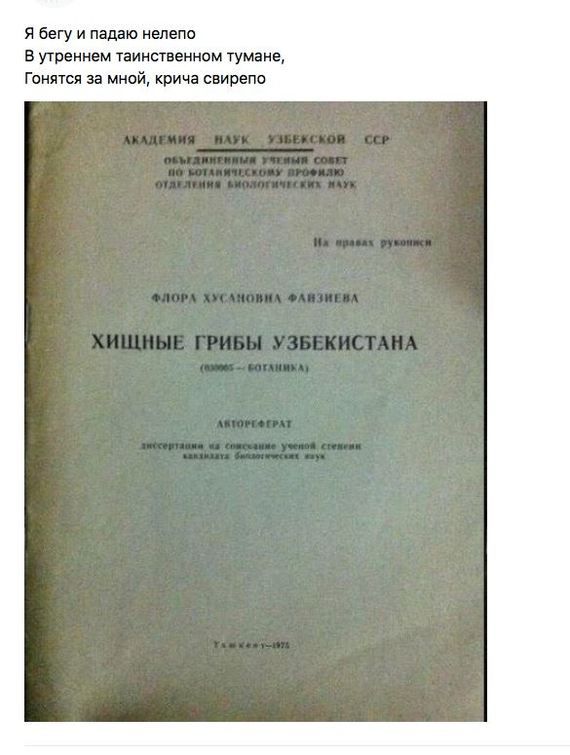 я бегу и падаю нелепо в прежнем ТВИИСТВЭННОМ тумане Гонятся за мной крича снирепо
