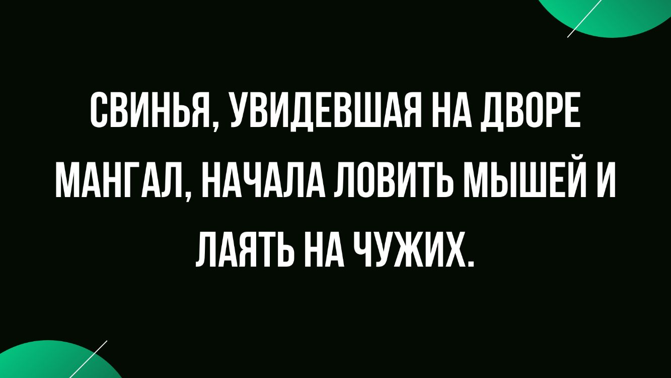 ВВИНЬН УВИДЕВШАЯ НА ДВОРЕ МАНГАЛ НАЧАЛА ЛПВИТЬ МЫШЕЙ И ЛАЯТЬ НА ЧУЖИХ