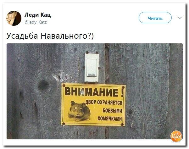 Леди Кац Усадьба Навально