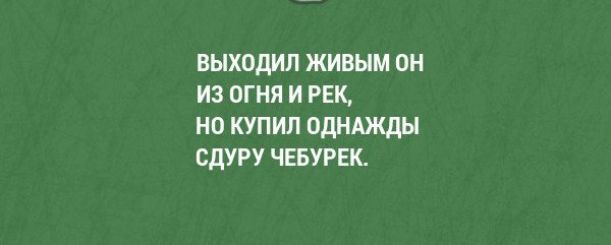 ВЫХОДИЛ ЖИВЫМ ОН ИЗ ОГНЯ И РЕК НО КУПИЛ ОДНАЖДЫ СДУРУ ЧЕБУРЕК