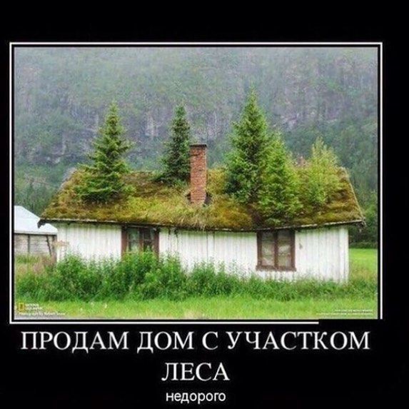 ПРОДАМ ДОМ С УЧАСТКОМ ЛЕСА недороги