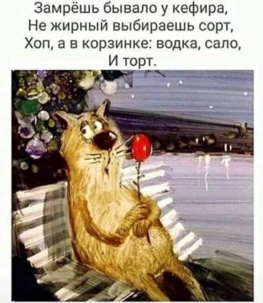 Замрешь бывало у кефира Не жирный выбираешь сорт Хоп а в корзинке водка сало И торт