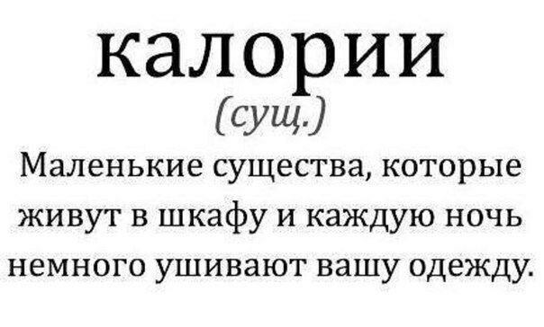 калории сущ Маленькие существа которые живут в шкафу и каждую ночь НЕМНОГО УШИВЗЮТ ВЗШУ одежду