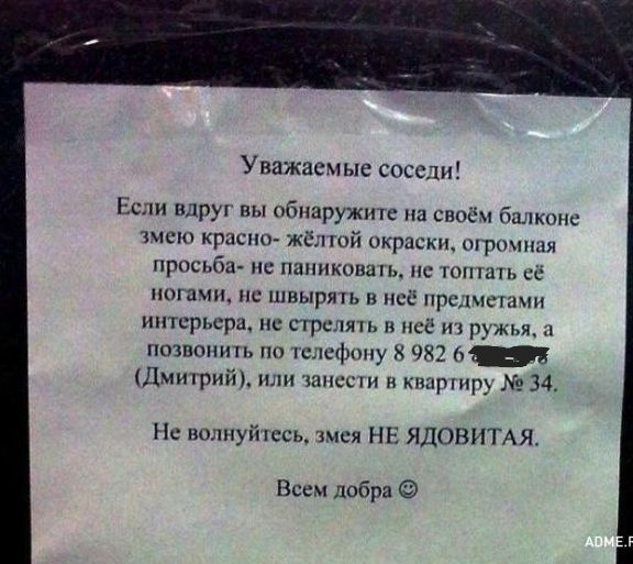 Уважаемые соседи Если вдруя вы ибпаружите на своё што шею красит жёлтой окраски шршшпя прпсьба не пцппковшь нс шпиль се ногами швырял в неё прыщ ниш интерьера пс сгрсляп и псё ружья позвонип пп пслсфпну 922 _в Дмиприй или пшсспи п шяртр 34 Не волнуйіссь змея НЕ ЯДОВИТАЯ Всем добра