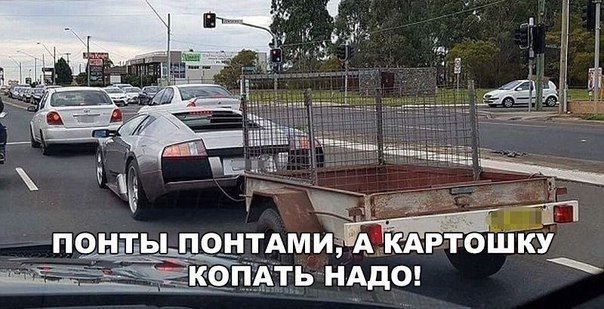 ПЭНЕТЕЫПОНТАМИ КАРТОШКУ Ать нАдт