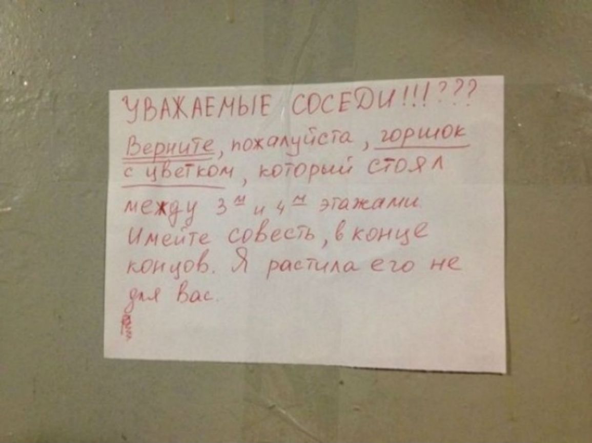 Мнгныг стиши77 е похамнСТа иОрши СТСА теж 1 А И ЗИМАи ММЦп идесд тибе АГНП У растили его не СКЦ иь
