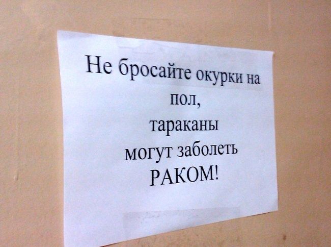 Не Оросаите окурки на пол тараканы могут заболеть РАКОМ