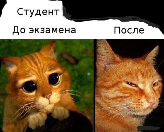 Студент до экзамена г 9 3