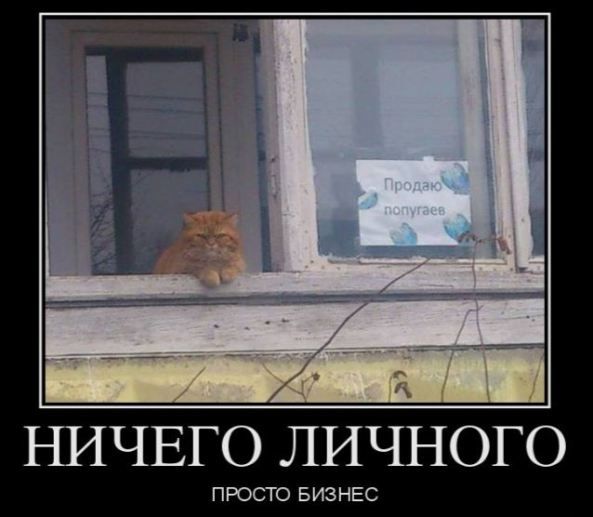НИЧЕГО ЛИЧНОГО ПРОСТО БИЗНЕС