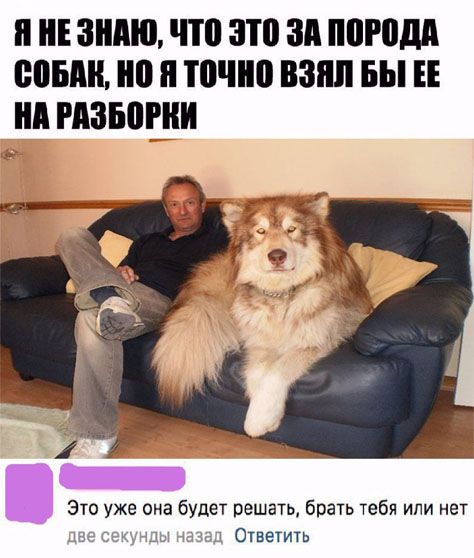 Е ЗНАЮ ПП ЗП 311 ШШШ ШУБА 0 Я точно 83 БЫ нд РАЗБПРНИ Это уже она будет решать брать тебя или нет ы Ответиш