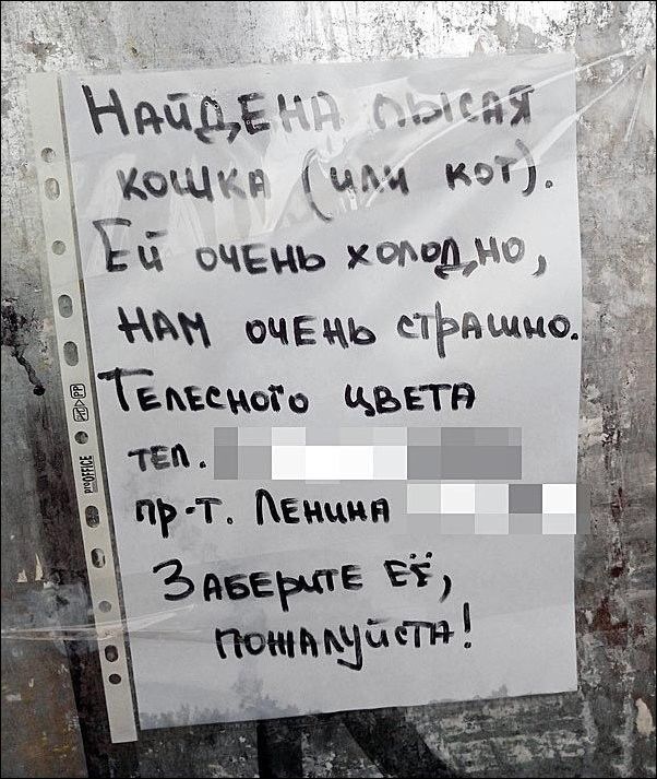 н И к д ь ЖчцёЧЕ