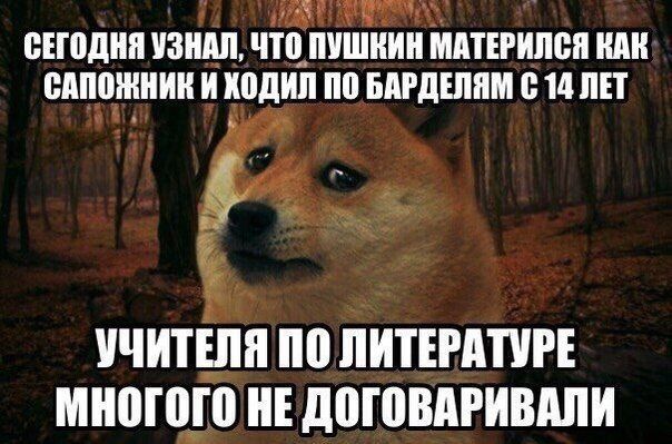 ВЕПЩИИ УЗНАЛ ЧЩ ПИШИИИ МИТЕРИПВИ ИЛИ ВИИДШИИИ И ИПДИЛ по БАРДШИМ 14 ЛЕТ УЧИТШИ ИИТЕРАПРЕ МИВШШ ИЕ дпювдгивдпи