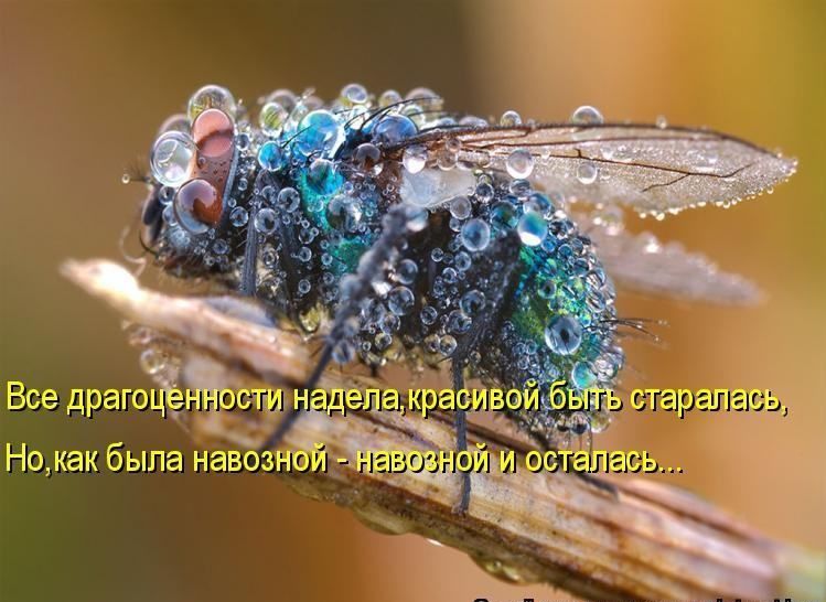 131 НЗВОЗНЮ х КОЬ Нема