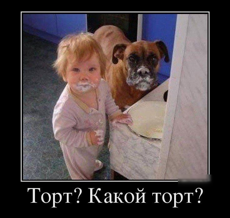 Торт Какой торт