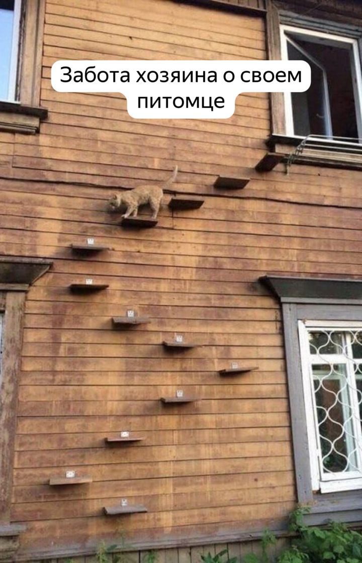 Забота ХОЗЯИНд О СВОЕМ ПИТОМЦЭ